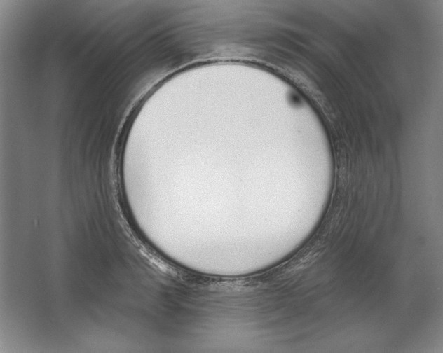 X0000067330990200604281414