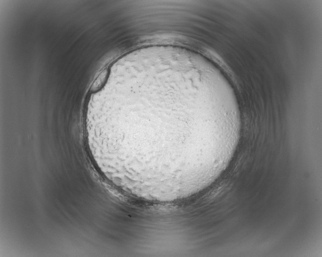 X0000067330994200604281414
