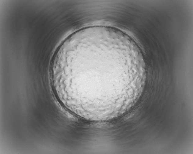 X0000067330998200604281414