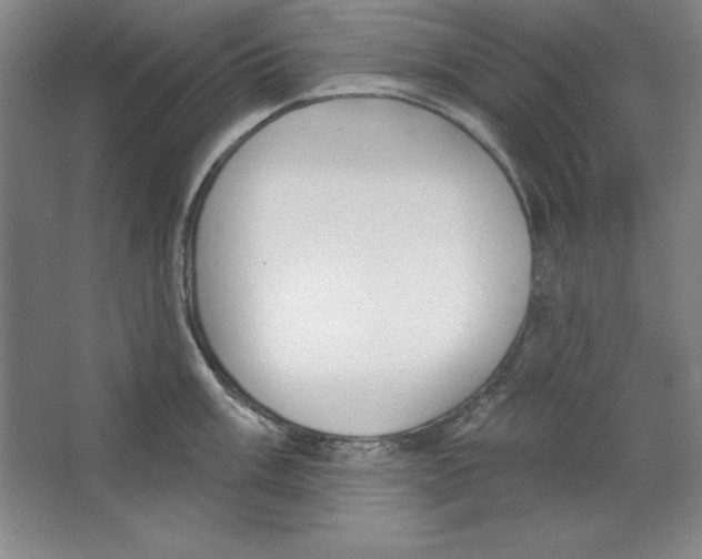 X0000067331003200604281414