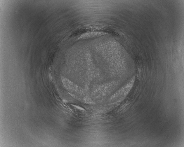 X0000067331010200604281413