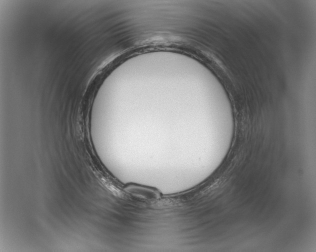 X0000067331018200604281413