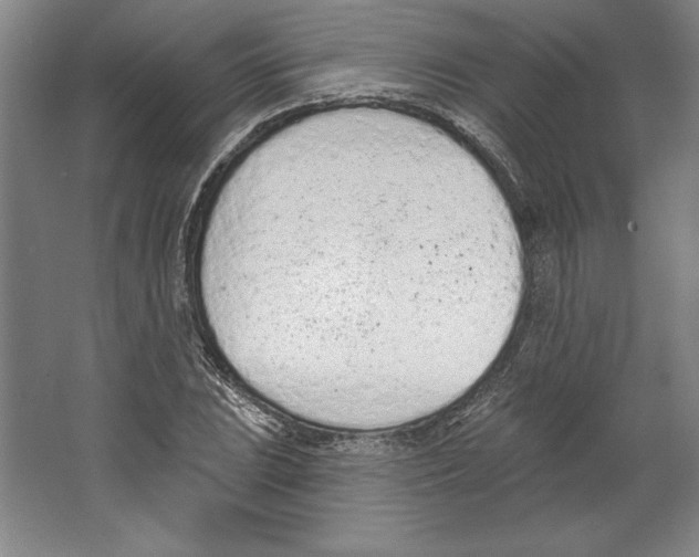 X0000067331023200604281413