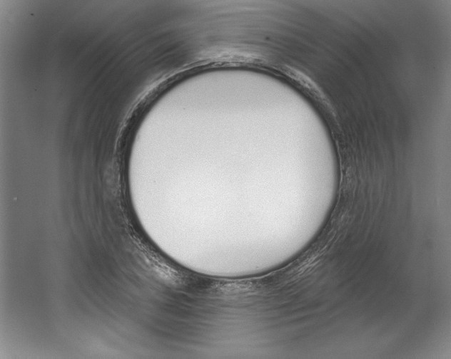 X0000067331027200604281413