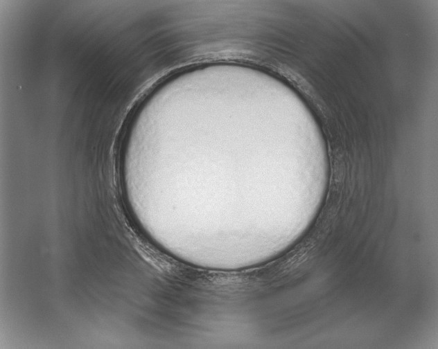 X0000067331031200604281413