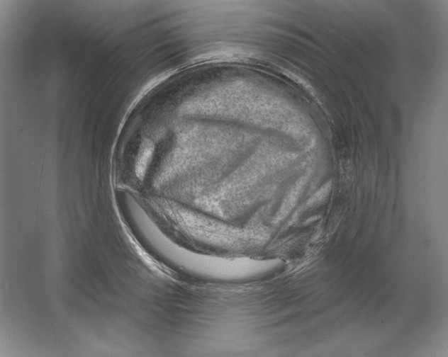 X0000067331034200604281413