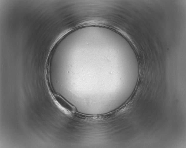 X0000067331042200604281414
