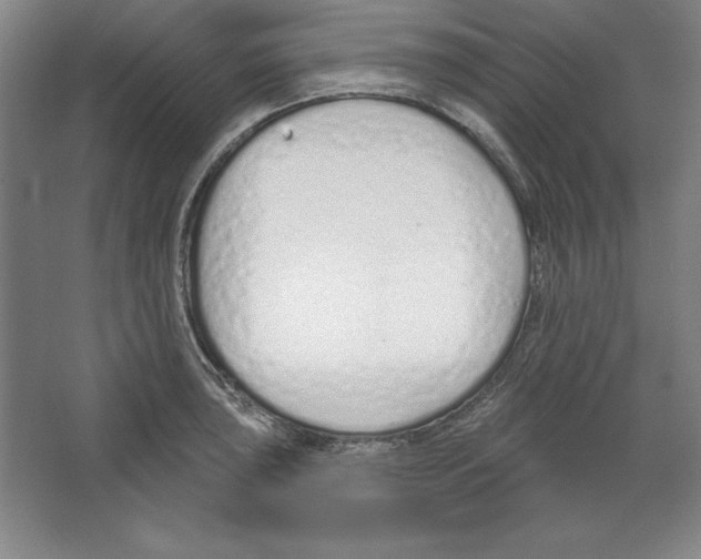 X0000067331043200604281414
