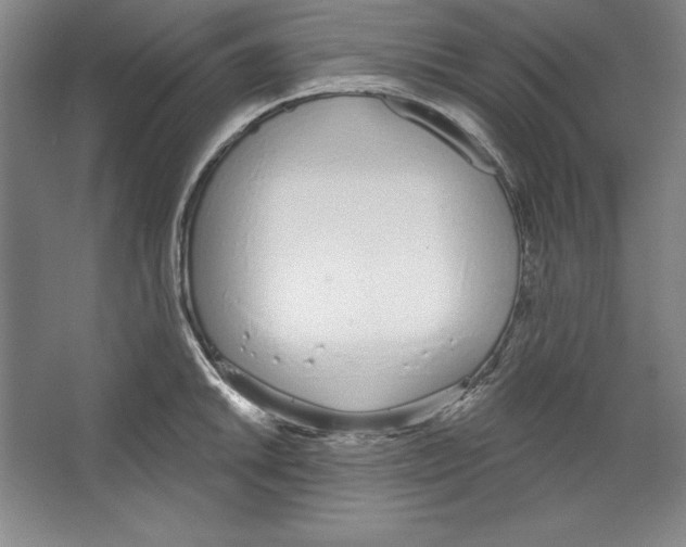 X0000067331046200604281414
