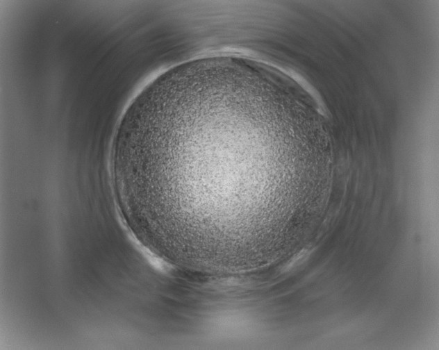 X0000067331054200604281414