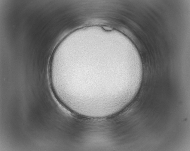 X0000067331055200604281414