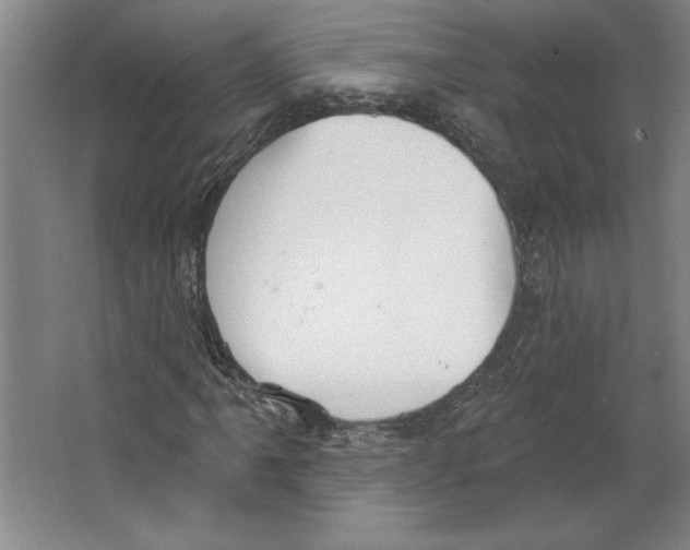 X0000067331061200604281413