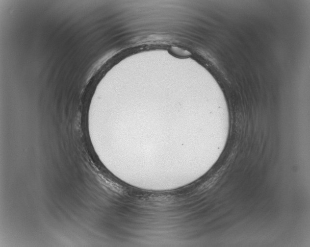 X0000067331066200604281413