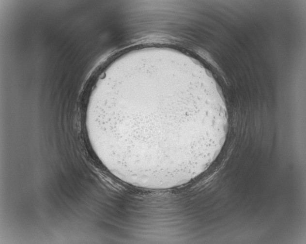 X0000067331067200604281413