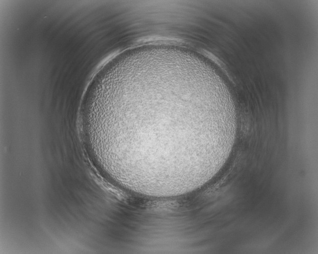 X0000067331074200604281413