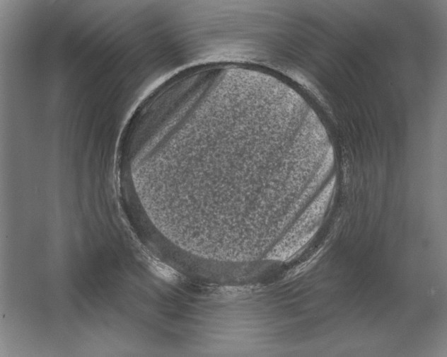 X0000067331077200604281413