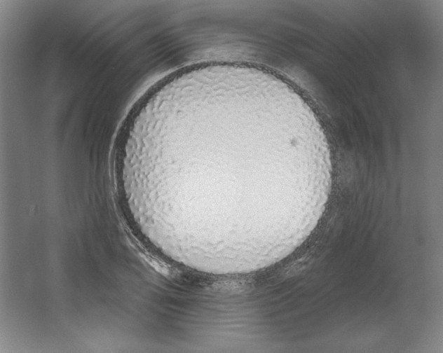 X0000067331078200604281413