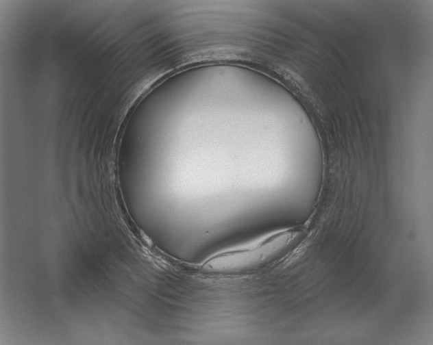 X0000067331081200604281413