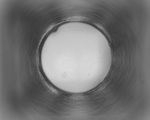 X0000067331083200604281413