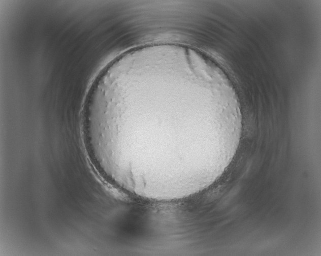 X0000067331086200604281413