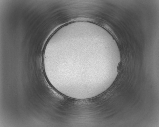 X0000067331092200604281412