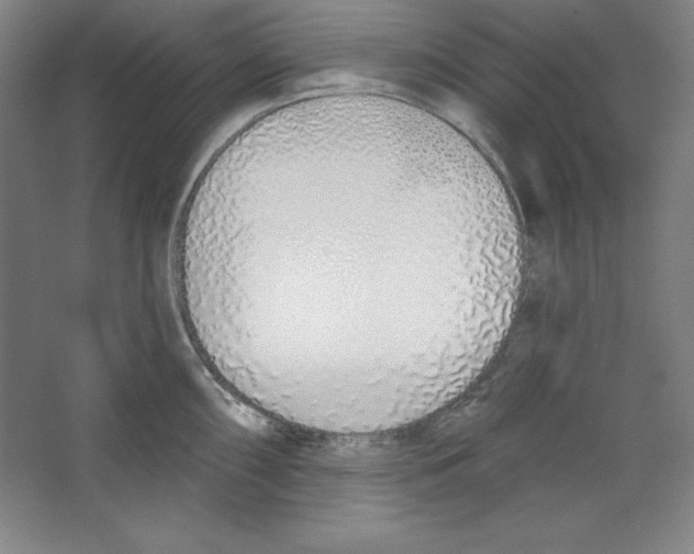 X0000067331098200604281412