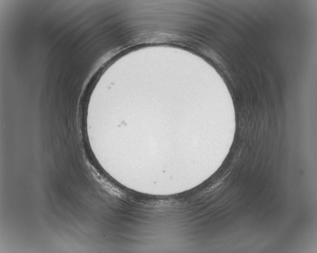 X0000067331122200604281412