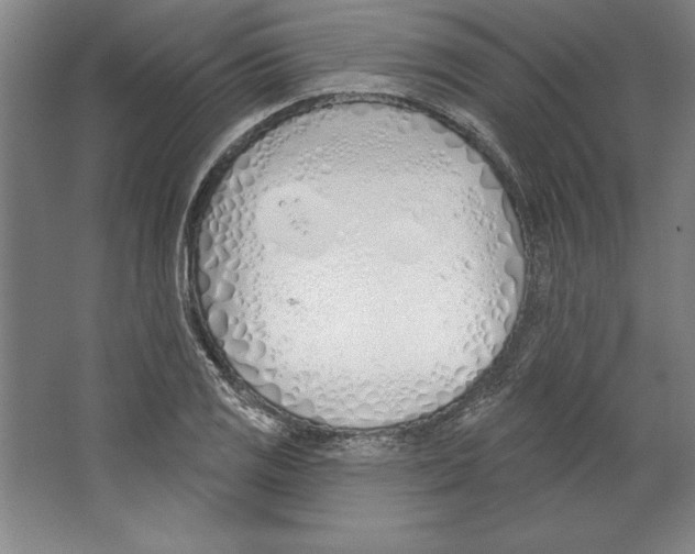 X0000067331125200604281412
