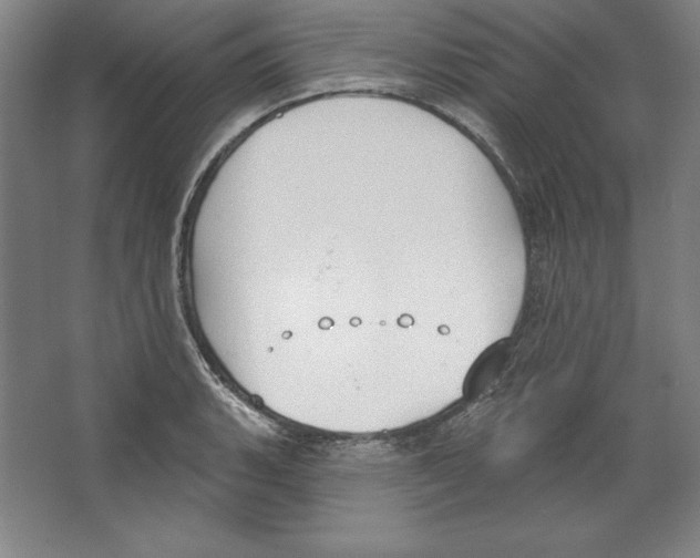 X0000067331135200604281412
