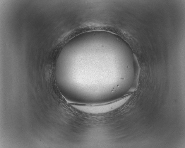 X0000067331157200604281411