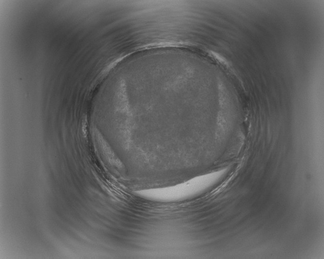 X0000067331161200604281411