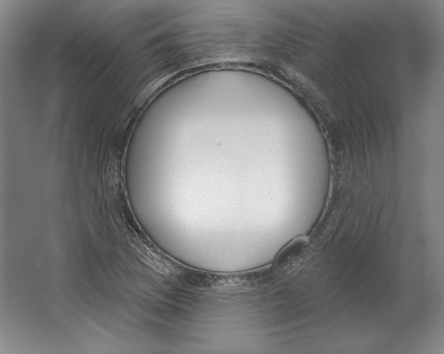 X0000067331169200604281411