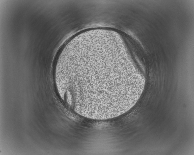 X0000067331173200604281411