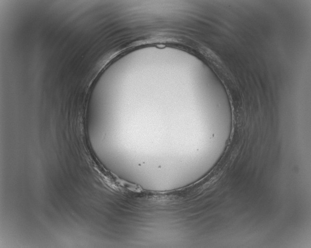 X0000067331177200604281411