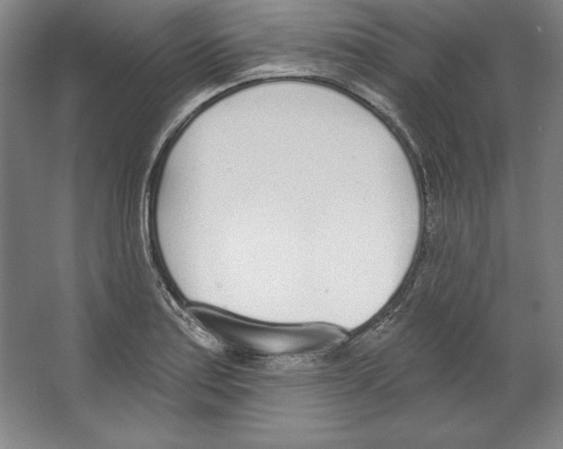 X0000067331179200604281411