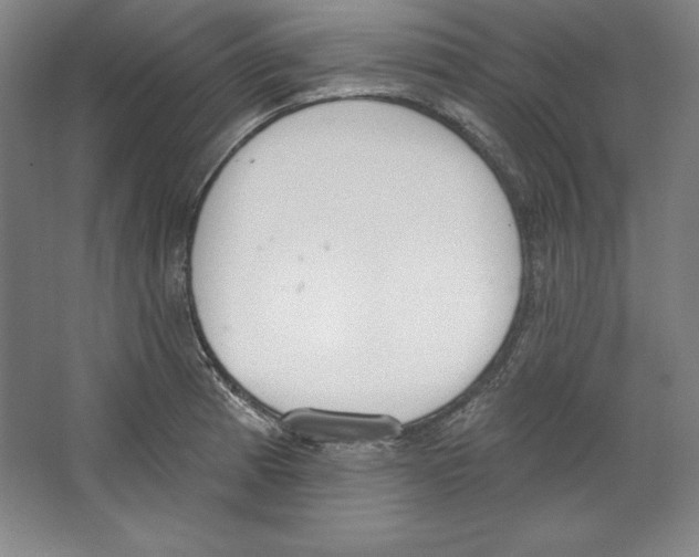 X0000067331185200604281411