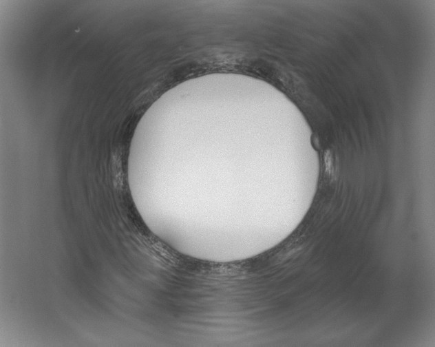 X0000067331203200604281410