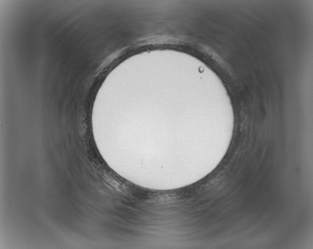 X0000067331213200604281410