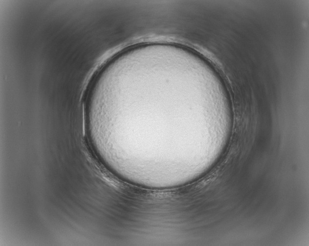X0000067331223200604281410