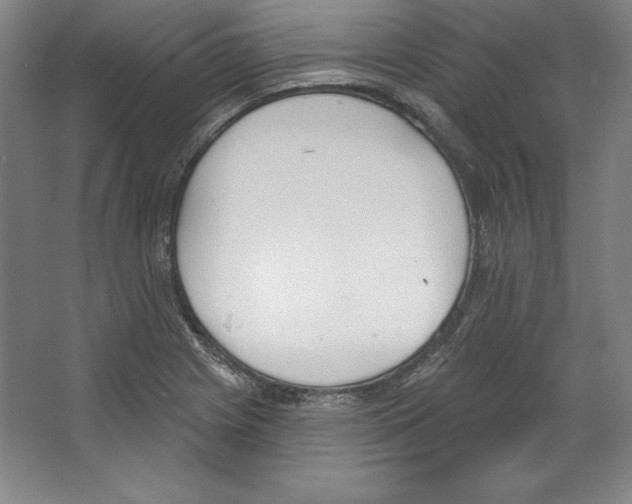 X0000067331225200604281410