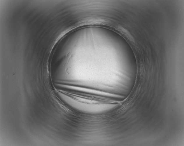 X0000067331226200604281410
