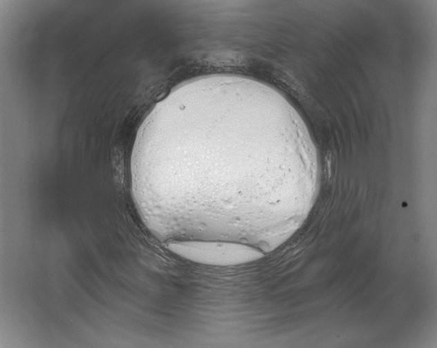 X0000067331251200604281410