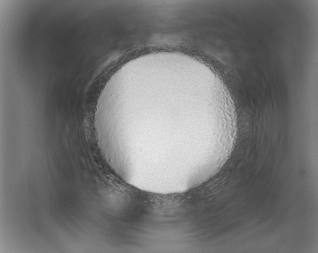 X0000067331254200604281410