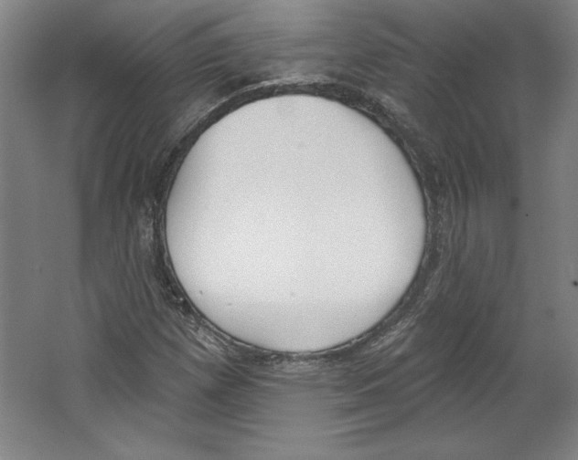 X0000067331257200604281410