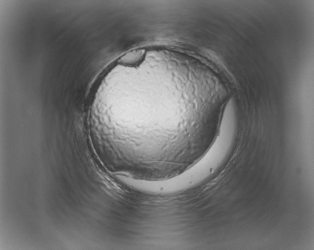 X0000067331260200604281410