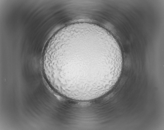 X0000067331282200604281409