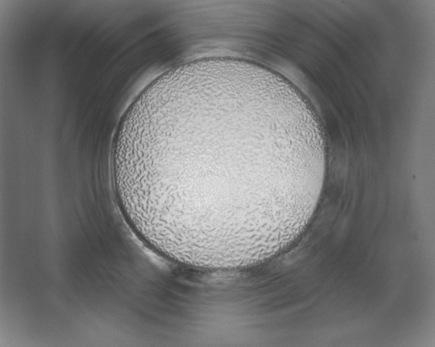 X0000067331290200604281409