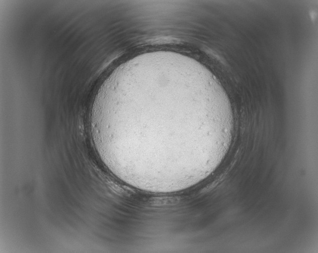 X0000067331305200604281408
