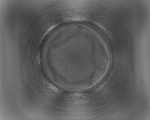 X0000067331306200604281408