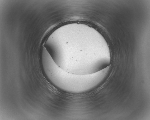 X0000067331314200604281408